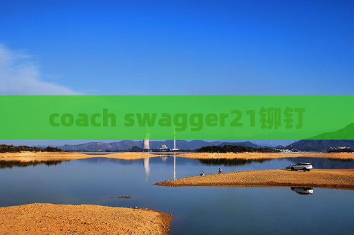 coach swagger21铆钉
